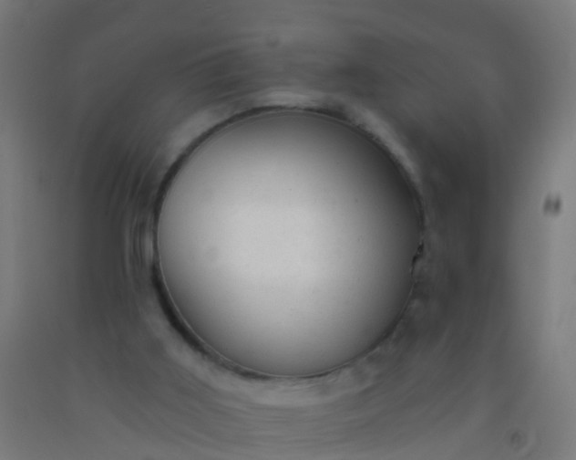 X0000092300011200709281336