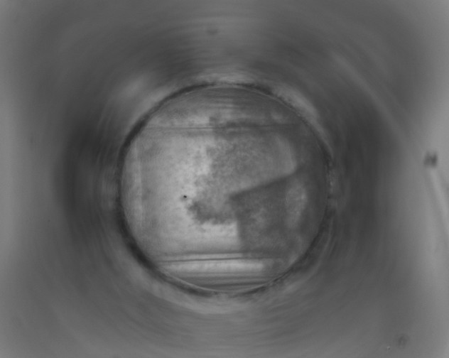 X0000092300012200709281336