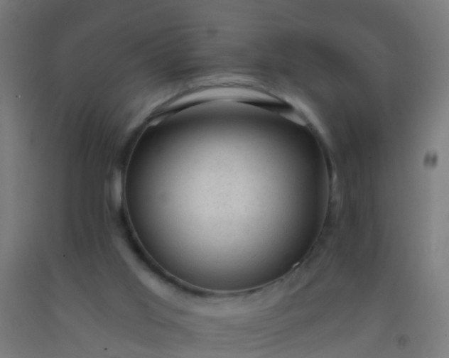 X0000092300013200709281336