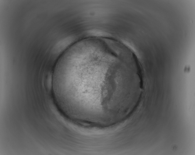 X0000092300014200709281336