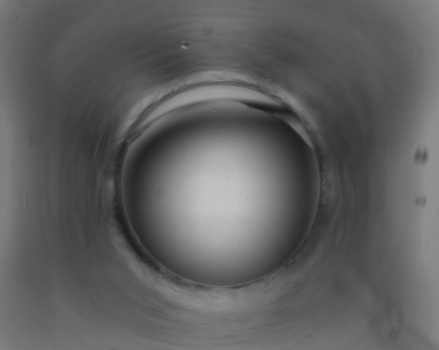 X0000092300015200709281336