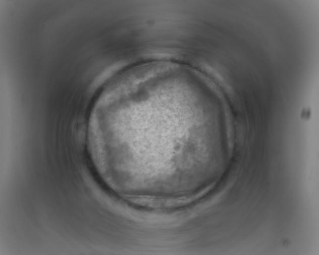 X0000092300016200709281336