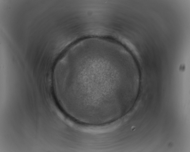 X0000092300017200709281336