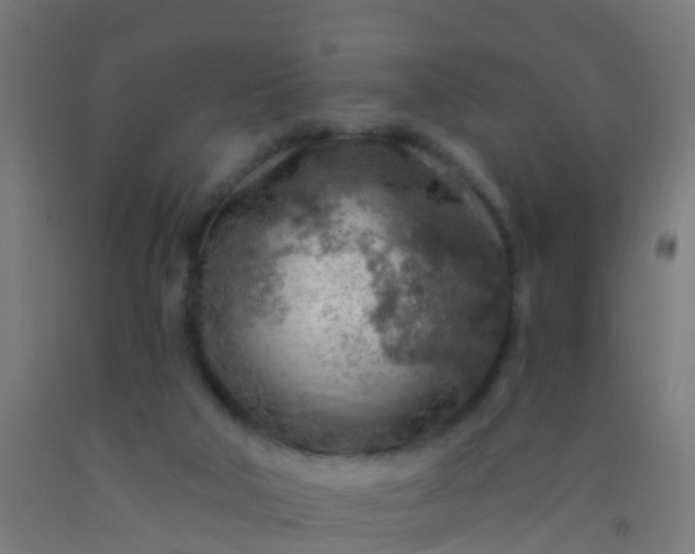 X0000092300018200709281336