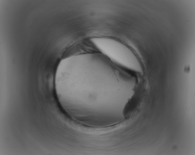 X0000092300019200709281335