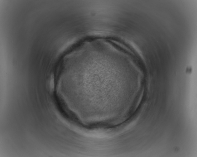 X0000092300020200709281335