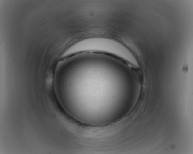 X0000092300021200709281335