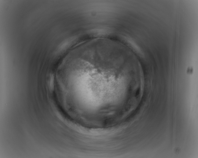 X0000092300022200709281335