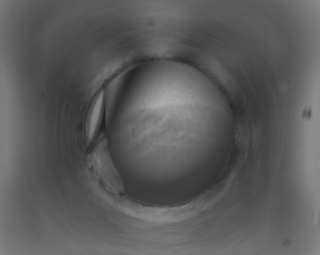 X0000092300023200709281335