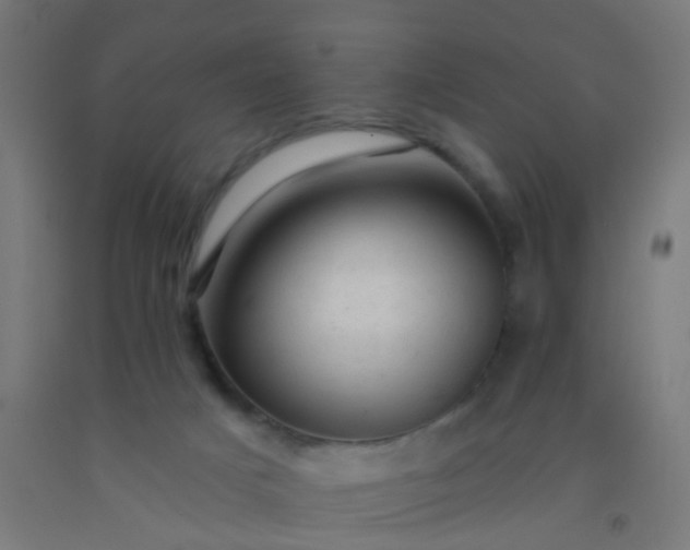 X0000092300025200709281335