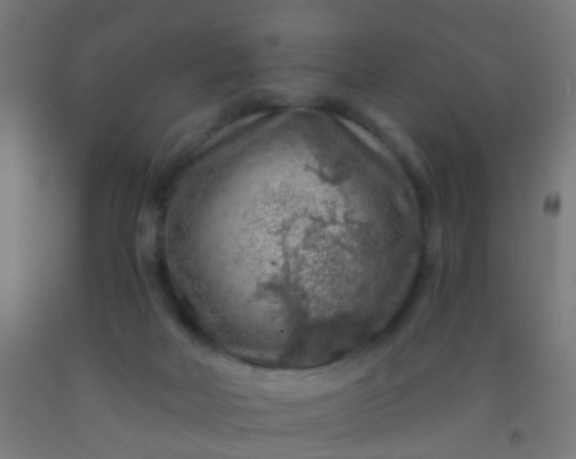 X0000092300026200709281335