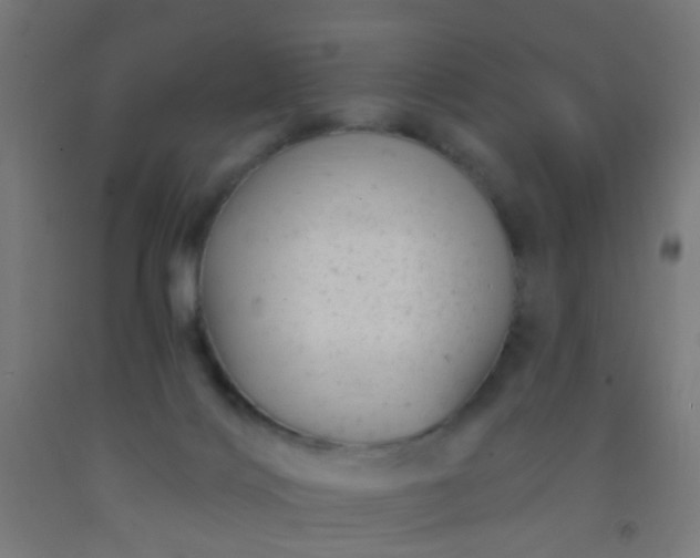 X0000092300028200709281335