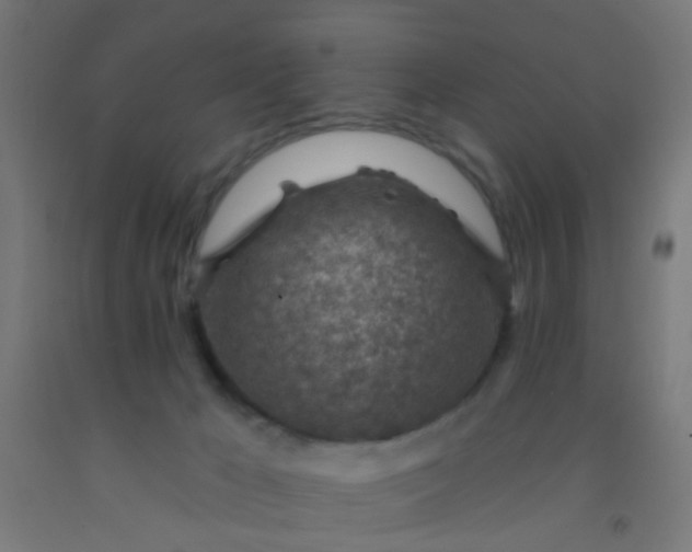 X0000092300029200709281335