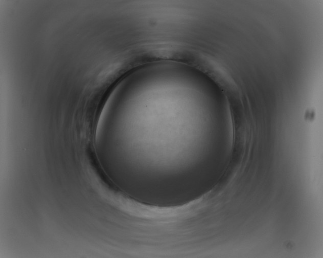 X0000092300031200709281335