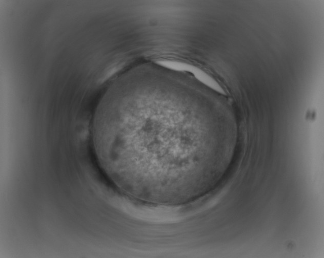 X0000092300032200709281335