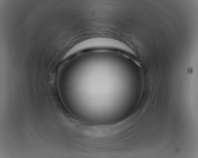 X0000092300033200709281335