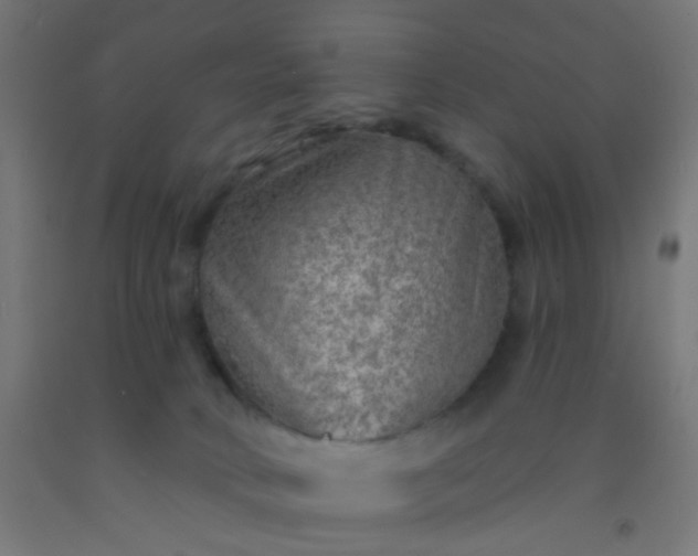 X0000092300034200709281335