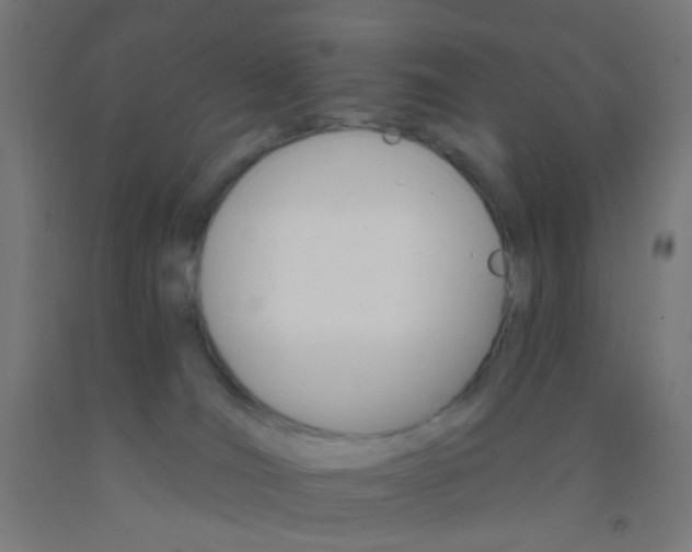 X0000092300036200709281335