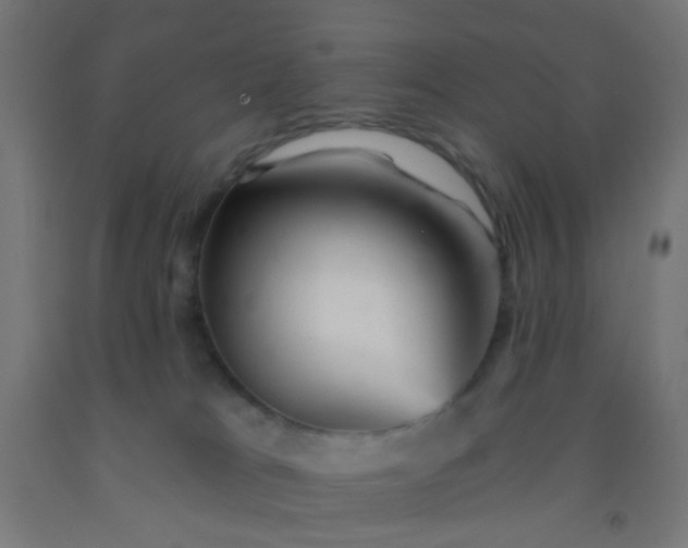 X0000092300037200709281335