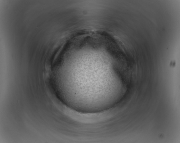 X0000092300038200709281335