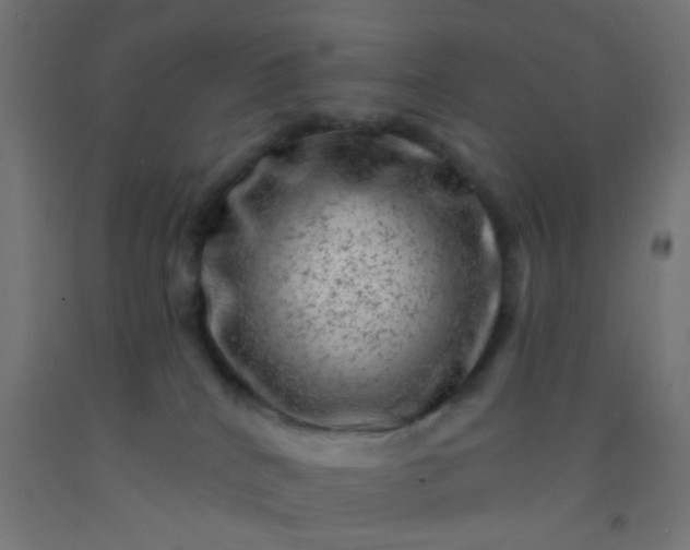 X0000092300040200709281335