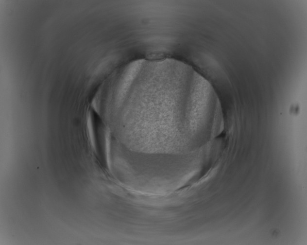 X0000092300041200709281335