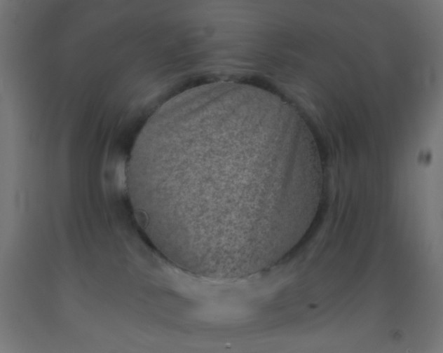 X0000092300042200709281335