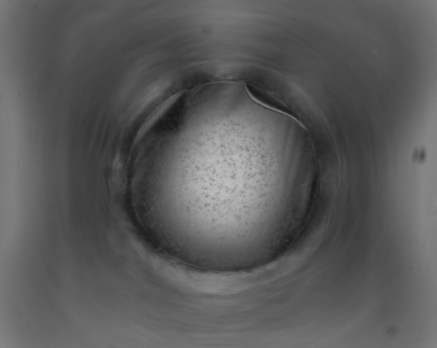 X0000092300044200709281335