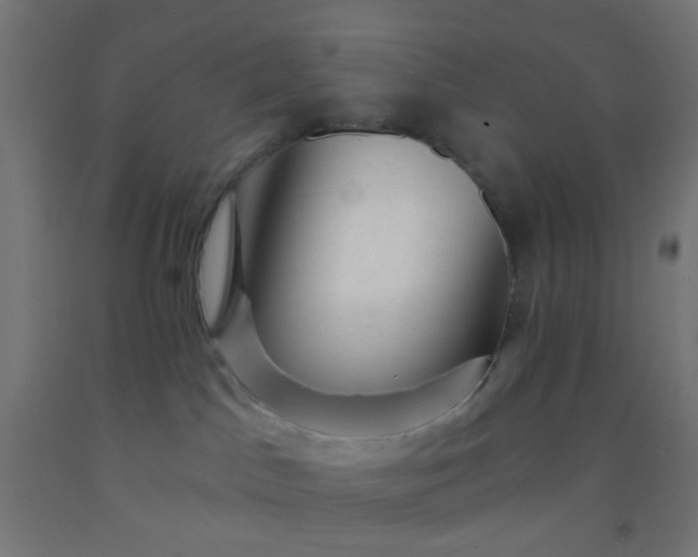 X0000092300045200709281335