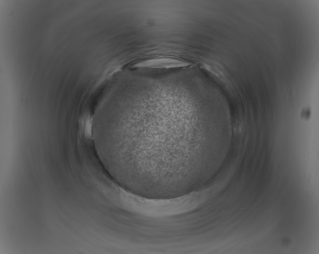 X0000092300046200709281335