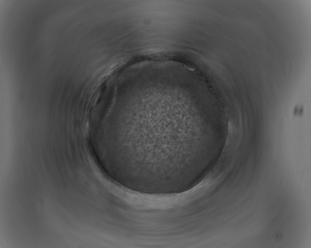 X0000092300048200709281335