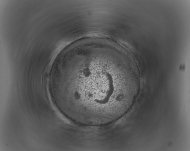 X0000092300049200709281334