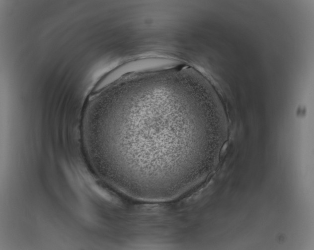 X0000092300050200709281334