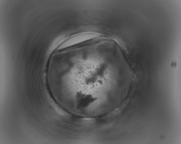 X0000092300053200709281334