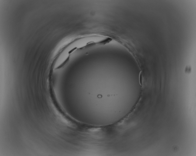 X0000092300054200709281334