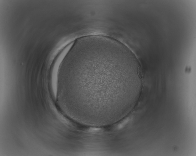 X0000092300055200709281334