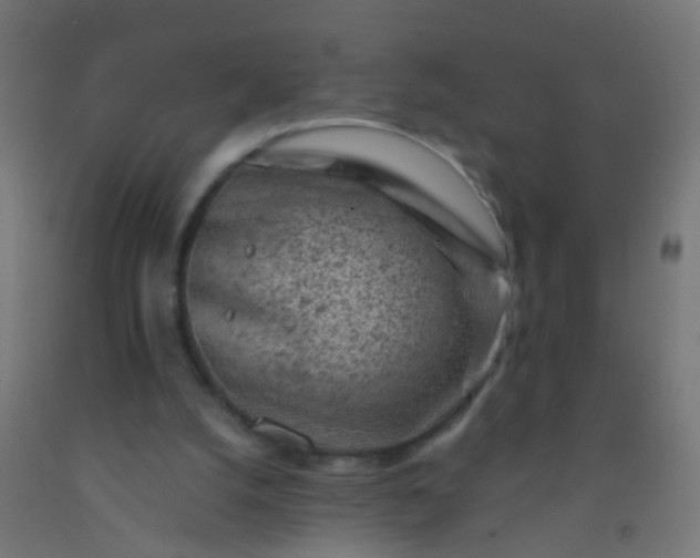 X0000092300056200709281334