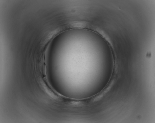 X0000092300057200709281334