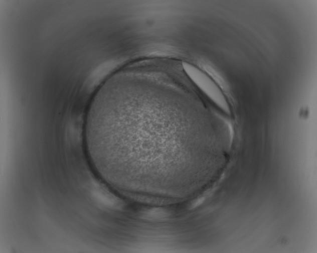 X0000092300058200709281334