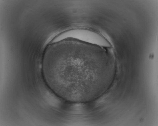 X0000092300059200709281334