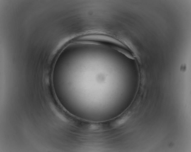 X0000092300060200709281335