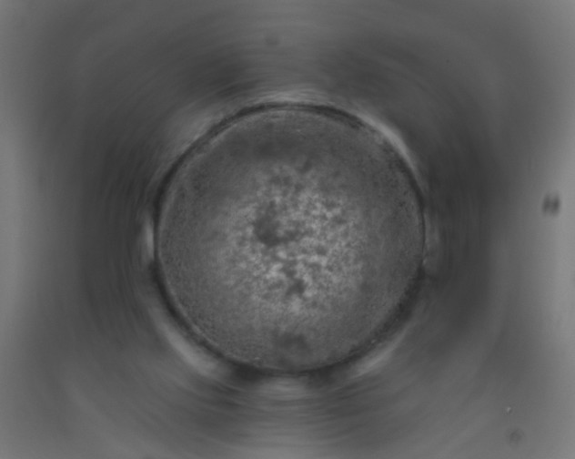 X0000092300061200709281335