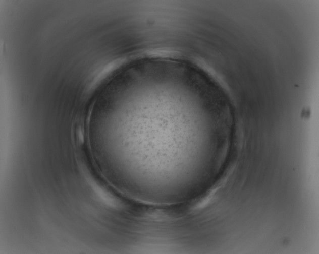 X0000092300062200709281335