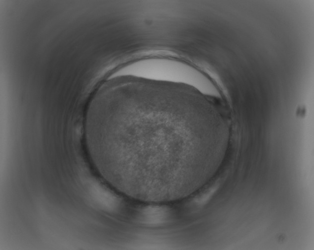 X0000092300063200709281335