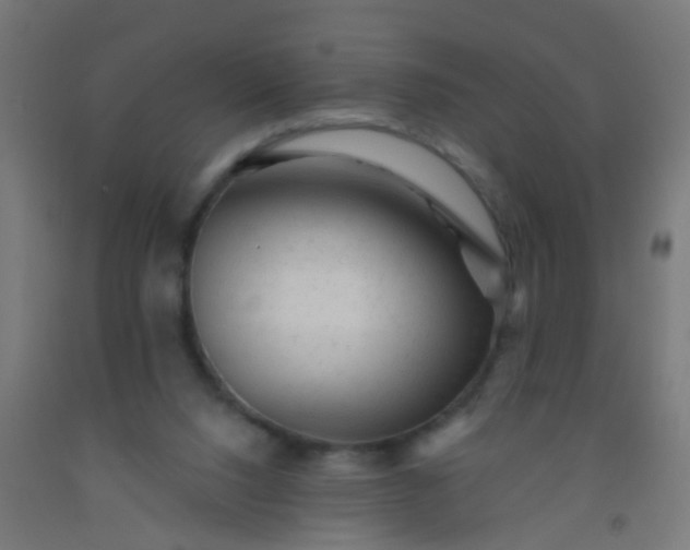 X0000092300064200709281335