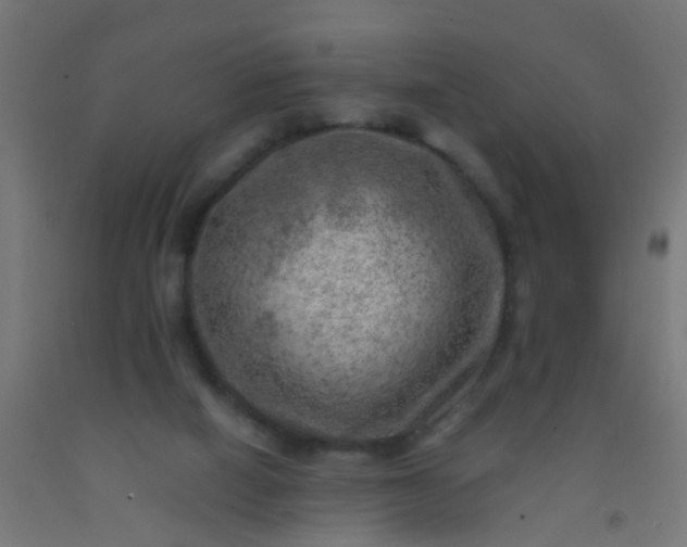 X0000092300066200709281335