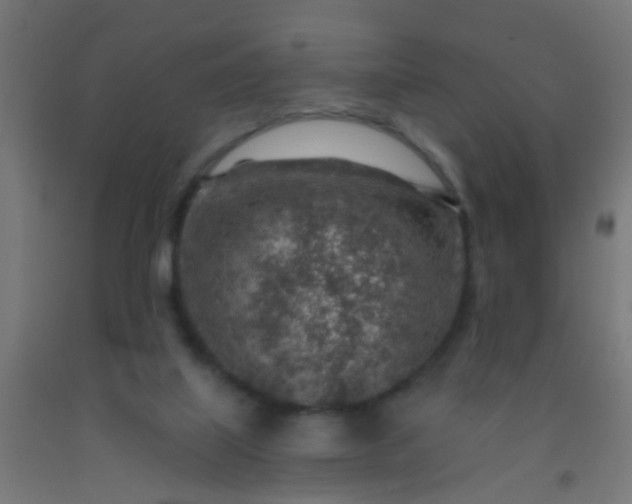 X0000092300067200709281335