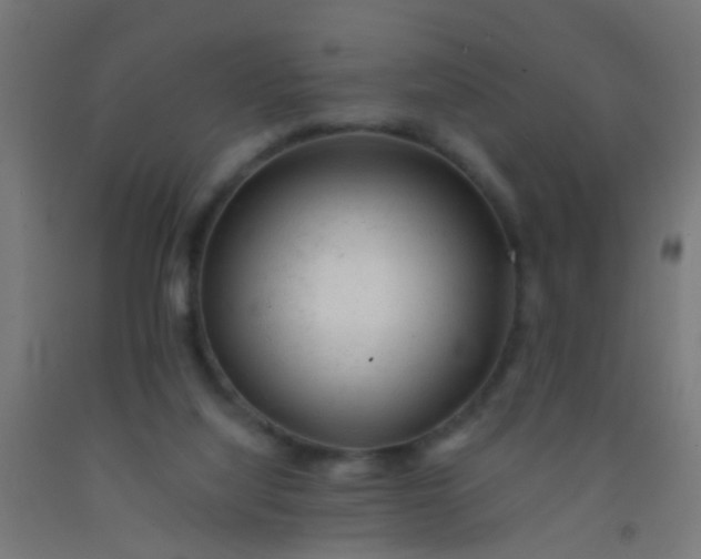 X0000092300068200709281335