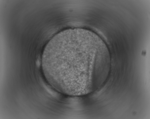 X0000092300069200709281335