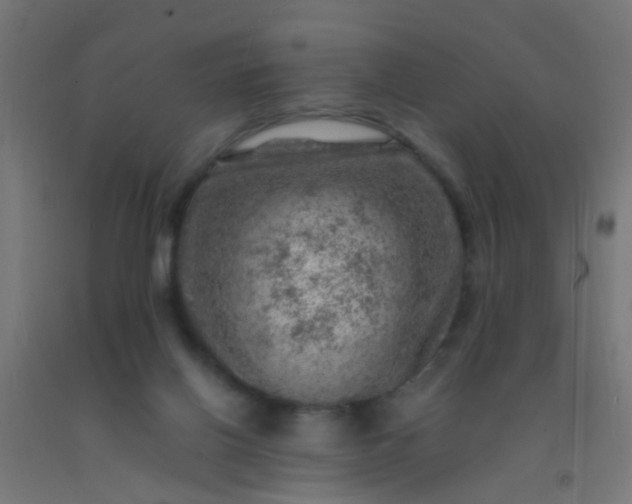 X0000092300070200709281335